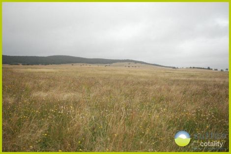 Property photo of 200 Cullulla Road Tarago NSW 2580