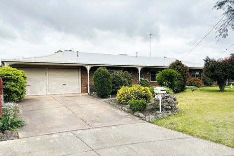 8 Monash Ct, Whittington, VIC 3219