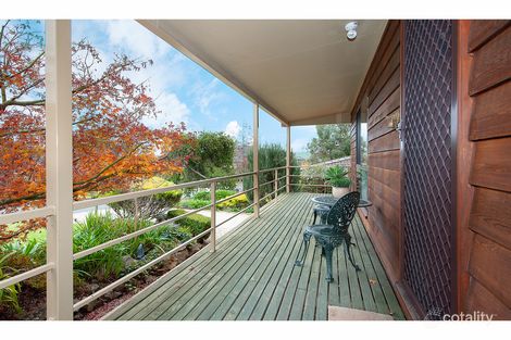 Property photo of 23 Hillcrest Avenue Bellbridge VIC 3691