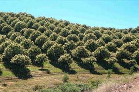 188 Back Creek Rd, Buffalo River, VIC 3737