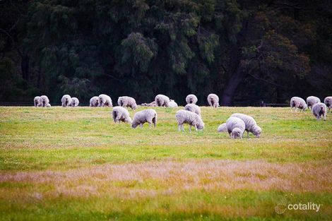 Property photo of 383 Wallis Road Witchcliffe WA 6286