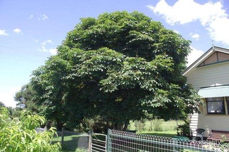 Property photo of 2735 Korumburra-Wonthaggi Road St Clair VIC 3995
