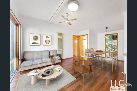 Property photo of 15 Tobias Avenue Glen Waverley VIC 3150
