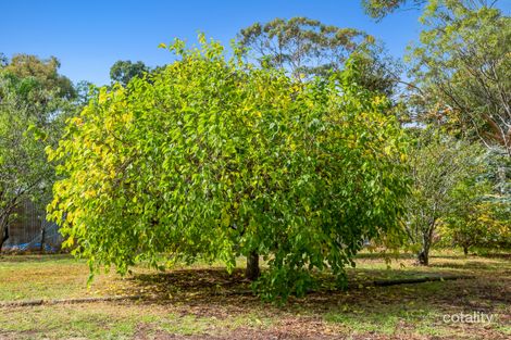 Property photo of 74 Willcox Street Chidlow WA 6556