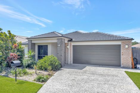 Property photo of 20 Maurie Pears Crescent Pimpama QLD 4209
