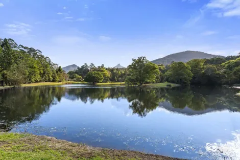 Property photo of 39 Solomons Road Mount Warning NSW 2484