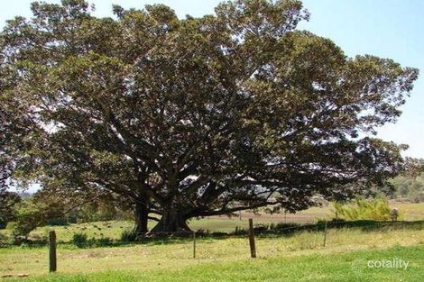Property photo of 85 Highfield Road Kyogle NSW 2474