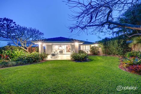 Property photo of 79 Gordon Street Gordon Park QLD 4031