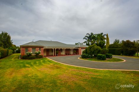 Property photo of 10 Winbi Avenue Moama NSW 2731