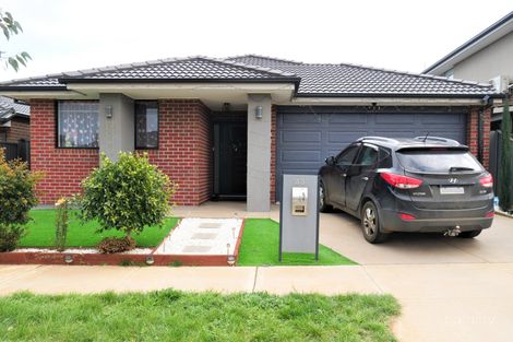 33 Ambervue Dr, Cobblebank, VIC 3338