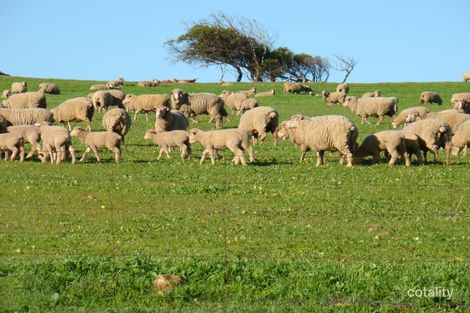 338 Isseka Rd E, Bowes, WA 6535