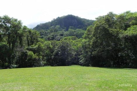 Property photo of 1104 Wilsons Creek Road Wilsons Creek NSW 2482