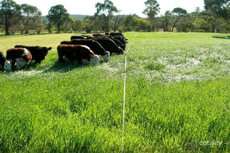 100 Yowaka River Rd, Greigs Flat, NSW 2549