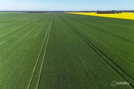 349 Warregal Rd, Tichborne, NSW 2870