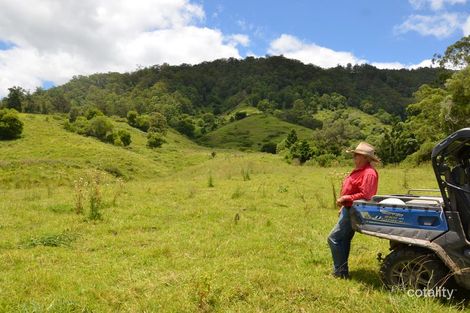 Property photo of 43 Aherns Road Conondale QLD 4552