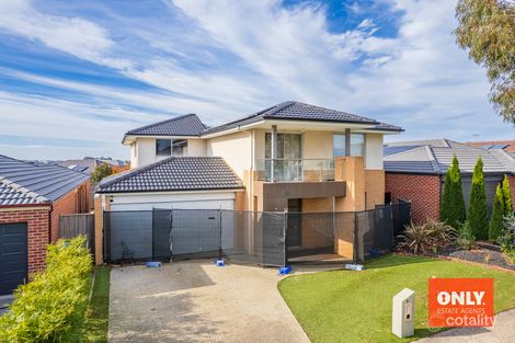 Property photo of 11 Hazelnut Boulevard Berwick VIC 3806