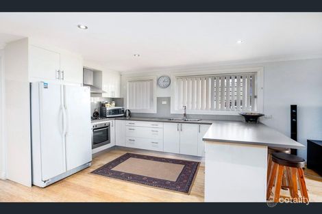 Property photo of 50 Judd Street Banksia NSW 2216