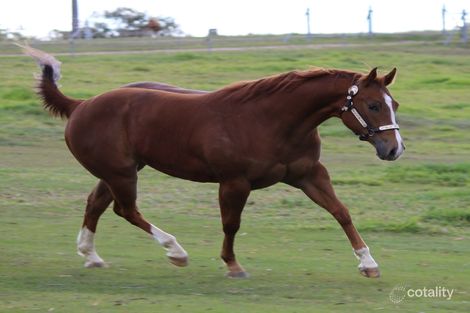 125 Molteno Rd, Gootchie, QLD 4650