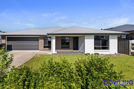 31 Liberty Rd, Medowie, NSW 2318