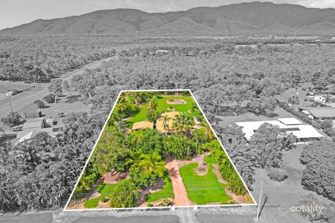 Property photo of 48 Mystic Avenue Balgal Beach QLD 4816