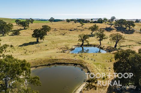 201 Mcgormans Rd, Mount Pleasant, SA 5235