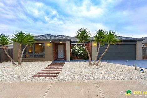 Property photo of 43 Moorookyle Avenue Tarneit VIC 3029