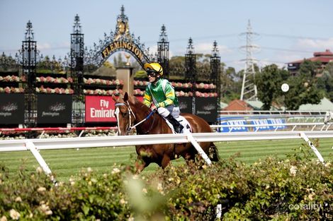 3/21 Moore St, Moonee Ponds, VIC 3039