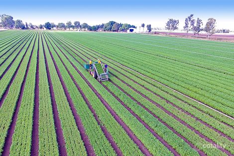 41127 Burnett Hwy, Orange Creek, QLD 4715