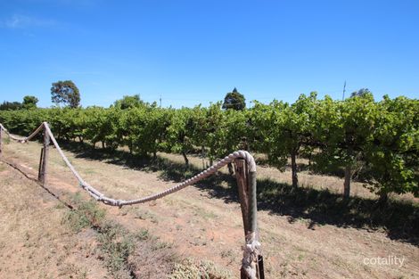 628a Chowilla St, Renmark West, SA 5341