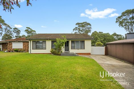 3 Warner Pl, Greystanes, NSW 2145