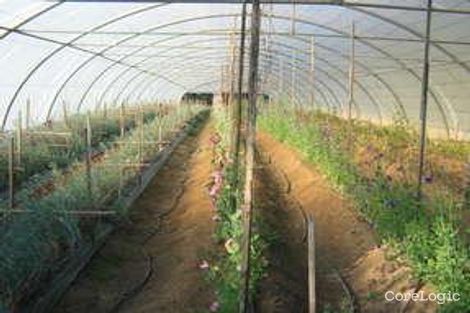 Property photo of 328 Deepfields Road Catherine Field NSW 2557