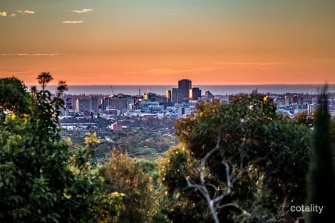 Property photo of 21 Mingara Avenue Stonyfell SA 5066