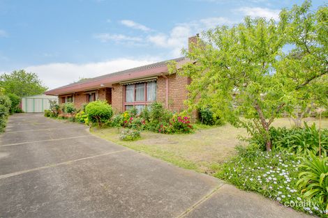 Property photo of 28 Walpole Avenue Rosebud VIC 3939