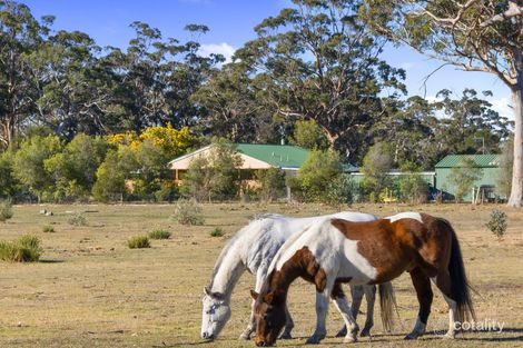 Property photo of 10746 Tasman Highway Little Swanport TAS 7190