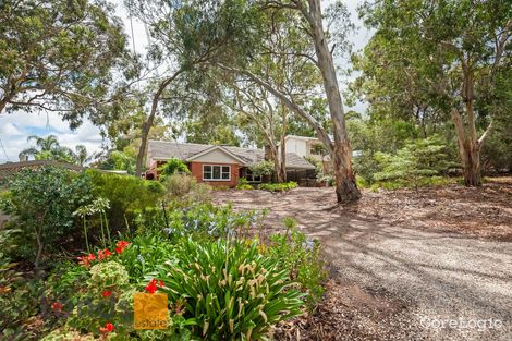 Property photo of 35 Addison Avenue Athelstone SA 5076