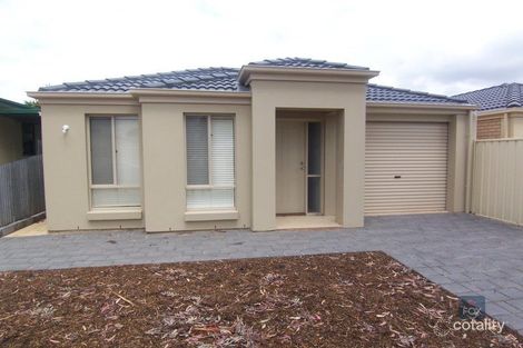 Property photo of 17 Innes Road Windsor Gardens SA 5087