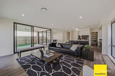 Property photo of 6 Doulton Close Hemmant QLD 4174