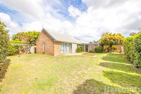 Property photo of 14 Village Avenue Bongaree QLD 4507