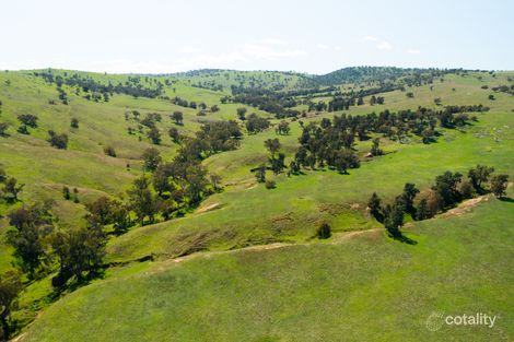 420 Wheel Of Fortune Rd, Oura, NSW 2650