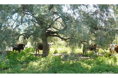 Property photo of 54 Wards Road Goondiwindi QLD 4390