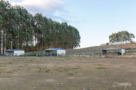 Property photo of 1260 Oldina Road Oldina TAS 7325