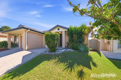 2/87 Clayton Cres, Rutherford, NSW 2320