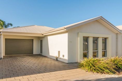 5b Shearing St, Oaklands Park, SA 5046
