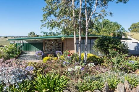 Property photo of 79 Old Princes Highway Murray Bridge East SA 5253