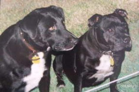 55 Maitland Rd, Burpengary East, QLD 4505