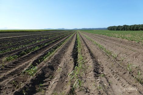 2-6 Nughes Rd, New Harbourline, QLD 4858