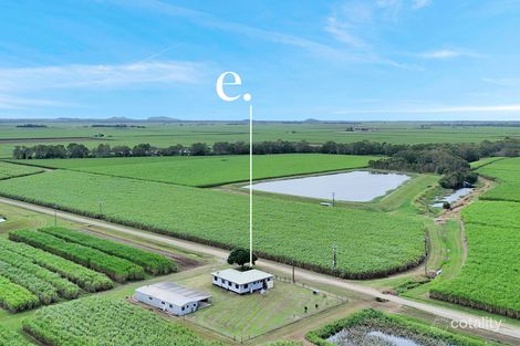 Property photo of 116 Brieffies Road Sandiford QLD 4740