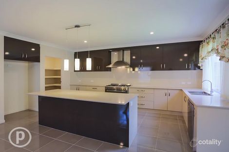 Property photo of 13 Coates Street Morningside QLD 4170