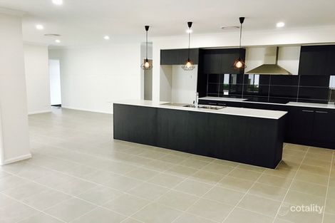 Property photo of 60 Dragonfly Drive Chisholm NSW 2322