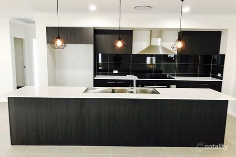 Property photo of 60 Dragonfly Drive Chisholm NSW 2322